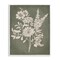 Stupell Industries Bunches of Wildflower Herbs Framed Giclee Design by Cat Thurman Designs